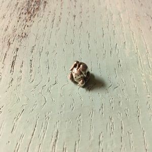 Retired Pandora Rabbit Charm.